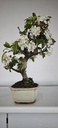 *M 3. Malus 100 euros con envio gratis peninsula.