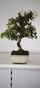 *M 5. Malus 100 euros con envio gratis peninsula.